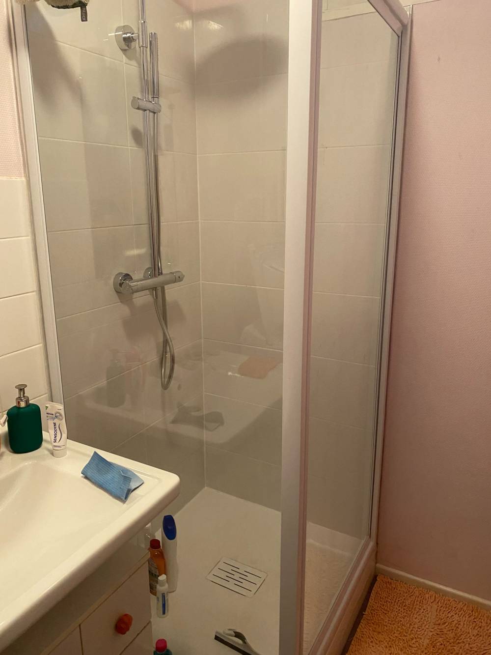 Réfection d'une douche à Montluçon (1)